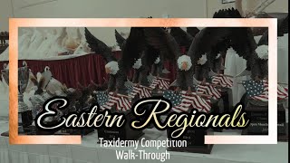 Eastern Regionals Taxidermy Competition [upl. by Nossyla]