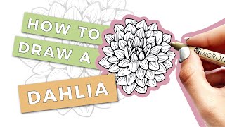 HOW TO DRAW A DAHLIA FLOWER StepByStep Tutorial with free worksheets [upl. by Asyl]