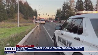 Suspect wanted for violent felony shot killed by deputies  FOX 13 Seattle [upl. by Sunny]