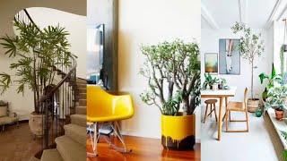 ❀ 100 IDEAS DECORACIÓN DE INTERIORES CON PLANTAS  IDEAS DECORATIVAS PLANTAS 2024 ❀ [upl. by Girvin]