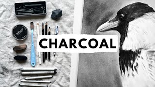 Everything I know about charcoal drawing in one video [upl. by Rivkah]