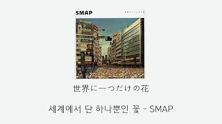 SMAP  세상에 하나뿐인 꽃世界に一つだけの花 가사발음해석 [upl. by Vaientina343]