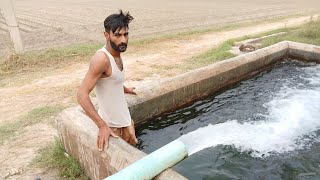 Day15 Tubewell Swimming Vlog in village Pakistan 2024  Swimming Tubewell [upl. by Iand37]