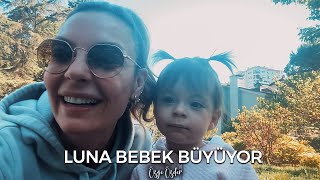 Luna Bebek Büyüyor [upl. by Sidnac104]