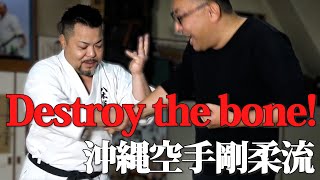 This is the essence of Okinawa Karate UCHIUKE Striking Block｜八木一平 Ippei Yagi｜剛柔流 Gojyuryu｜ [upl. by Kleon154]