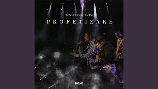 Profetizaré Shekinah Live [upl. by Erlina963]