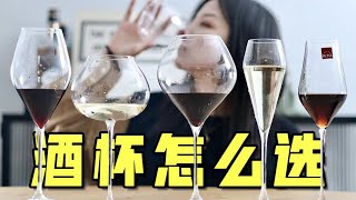 葡萄酒杯这么多，到底怎么选？保姆级杯具指南！ [upl. by Ecinwahs]