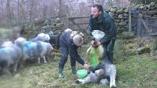 The Passion and Pressures of being a Lake District Farmer [upl. by Chaddy]