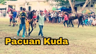 Pacuan Kuda Kab Gorontalo [upl. by Schnabel]