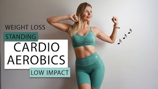 45 MIN ALL STANDING CARDIO AEROBICS WORKOUT FOR WEIGHT LOSS Fat Burning  Low Impact [upl. by Repip]