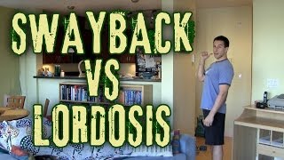 The Difference Between Swayback amp Lordosis [upl. by Gae]