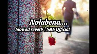 Nolabena song Slowedreverb MrvibzX [upl. by Pauiie]