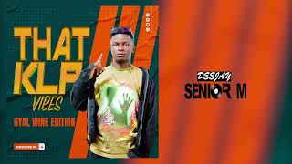 That Kla Vibes Ep 4 Gyal Sidungu Edition Nonstop  Dj Senior M2024 [upl. by Lenuahs125]