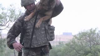 US Military Working Dog 2012 Competition [upl. by Denney235]