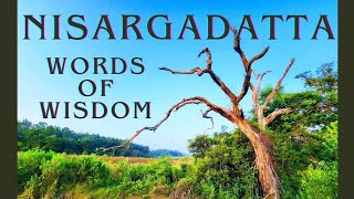 Nisargadatta Maharaj Nondual Teachings of Love and Wisdom [upl. by Gurney]