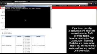 How to clear the DNS Cache from Chrome and System [upl. by Ahsenahs23]