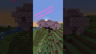 MY WORLD RECORD minecraft worldrecord worldrecordcherrygrove gaming [upl. by Aiderfla441]