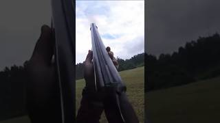 Georgia dove hunt 2023 season Shotkam gen 4 hunting shotgunhandcam fyp shorts outdoors [upl. by Rhee746]