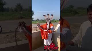 Three head snake mai bhakt tumari hu bhakti short video viralshorts varaha bhaja [upl. by Ribaj]