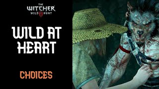 The Witcher 3 Wild at heart  CHOICES How to kill werewolf [upl. by Naesyar874]