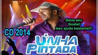 Unha Pintada Show CD 2014 Completo [upl. by Pace]