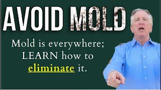 Mold is in your house RIGHT NOW Is it potentially hazardous Show 161 [upl. by Eisle798]