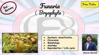 Funaria  Morphology  anatomy amp Life cycle  Bsc  Free PDF notes  by Viologia EXtrema [upl. by Paff143]