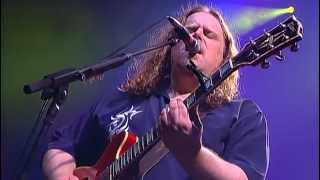 Govt Mule  Lay Of The Sunflower [upl. by Ociredef776]