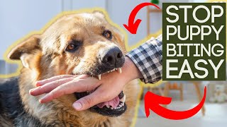 STOP PUPPY BITING IN SECONDS [upl. by Noj]