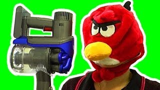 How To Kill A Cockroach Vs Dyson DC35 Stick Vacuum Angry Birds Dont Ever Mess With Them [upl. by Aenert]