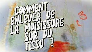 COMMENT ENLEVER DE LA MOISISSURE SUR DU TISSU [upl. by Llevel772]