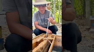 The Best Beekeeping Hive Tool How to use a Hive Tool [upl. by Averill134]