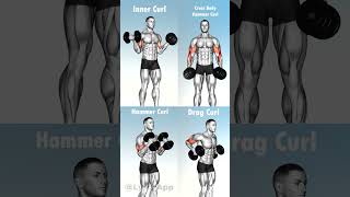 Killer Bicep Exercise Variations 💪 [upl. by Oyr839]