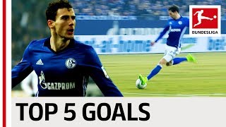 Leon Goretzka  Top 5 Goals [upl. by Raviv]