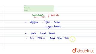 Respiration in cephalochordates occurs through  12  ANIMAL KINGDOM CHORDATES  BIOLOGY  AA [upl. by Misa]