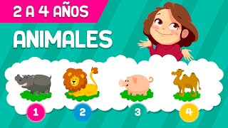 ADIVINA LOS ANIMALES PARA NIÑOS DE 2 A 3 AÑOS  VIDEO EDUCATIVO [upl. by Alver]