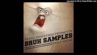 Vinyl Frontier Presents BRUH Samples Vol 61 Track 6 [upl. by Lane]