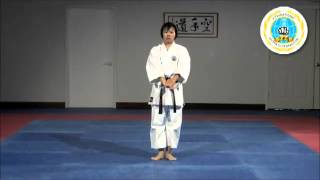 29 Tomari Bassai Shito Ryu [upl. by Mussman225]