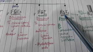 Variant of Prostaglandin with uses [upl. by Notsej]