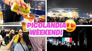 PICOLANDIA WEEKEND WE GOT LIT 🔥🍻 [upl. by Ynatil]