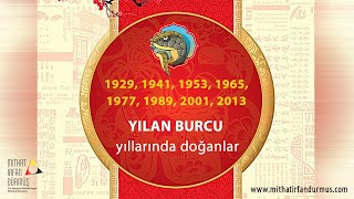 Çin Astrolojisi Burçlar  6  Yılan Burcu [upl. by Zaob989]