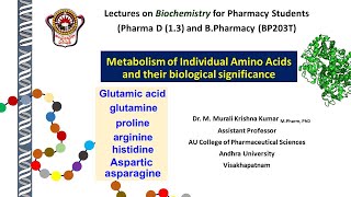 4 7 amino acid metabolism Asn Asp Gln Glu Pro [upl. by Uke28]