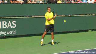 JoWilfried Tsonga Forehands in HD [upl. by Odlaw]