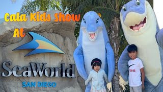 Cala Kids Explore SeaWorld San Diego [upl. by Aicissej]