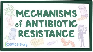 Mechanisms of antibiotic resistance [upl. by Ahsirat]