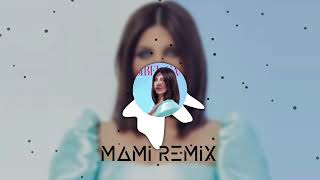 Sibel Can  Bil Diye Söylüyorum Mami Remix [upl. by Kerrison252]