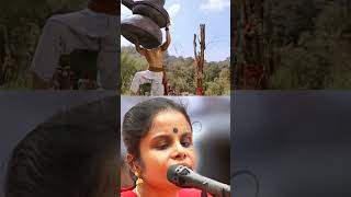 💥Vaikom vijayalakshmi 💥best songs in tamil 😇shots vaikomvijayalakshmi tamilshorts [upl. by Ahsimed101]