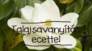 Hogyan savanyítsuk a talajt [upl. by Derte]