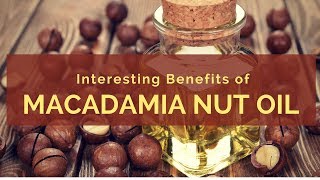 Best Health Benefits Of Macadamia Nut Oil  Benefits Of Macadamia Nut Oil [upl. by Gawen]