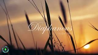 Diaphanous  Original Soundtrack [upl. by Peacock]